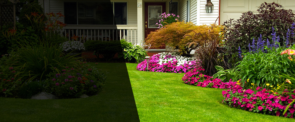Phillipsburg Landscapers